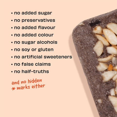 The Whole Truth - Protein Bars - Peanut Cocoa - Pack of 6 (6 x 52g) - No Added Sugar - All Natural