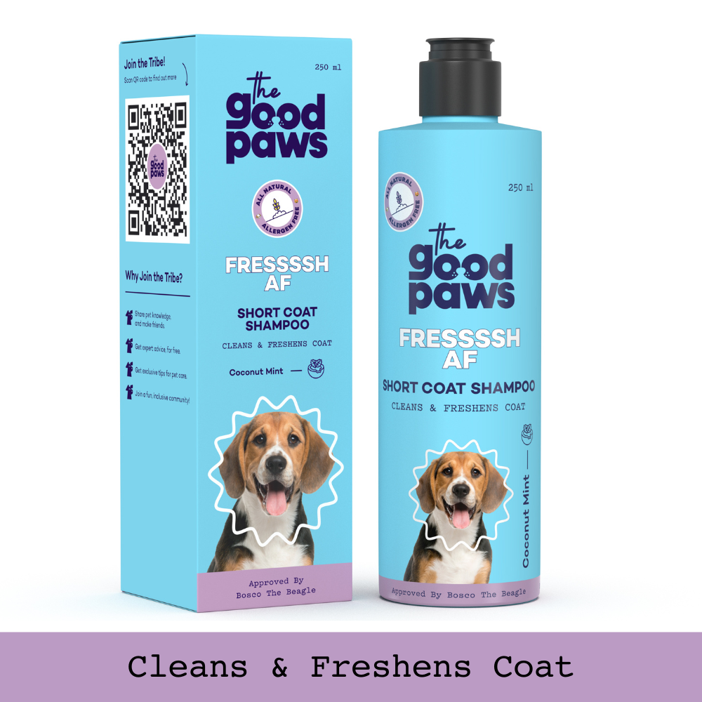 The Good Paws FRESSSSH AF SHORT COAT Dog Shampoo | Smoothes Skin & Coat | Dog shampoo For Beagle, Labrador, Great Dane | All Natural Jojoba & Castor Oil | Pet Shampoo for Dogs & Cats | Coconut Mint (Allergen Free) 250 ml