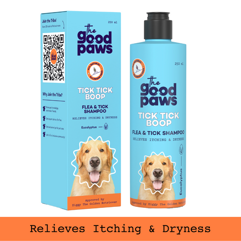 The Good Paws Tick Tick Boop | Flea & Tick Dog Shampoo | Relieves Itching & Dryness | All Natural Eucalyptus & Lemongrass Oil | Dog Shampoo For Golden Retrievers, Labrador | Itch Relief Shampoo | Eucalyptus (Allergen Free) 250 ml