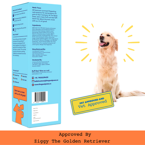 The Good Paws Tick Tick Boop | Flea & Tick Dog Shampoo | Relieves Itching & Dryness | All Natural Eucalyptus & Lemongrass Oil | Dog Shampoo For Golden Retrievers, Labrador | Itch Relief Shampoo | Eucalyptus (Allergen Free) 250 ml