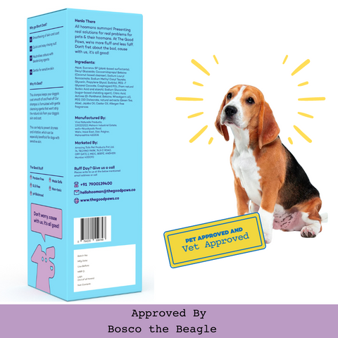 The Good Paws FRESSSSH AF SHORT COAT Dog Shampoo | Smoothes Skin & Coat | Dog shampoo For Beagle, Labrador, Great Dane | All Natural Jojoba & Castor Oil | Pet Shampoo for Dogs & Cats | Coconut Mint (Allergen Free) 250 ml