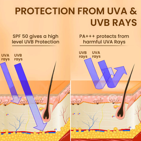 The Skin Story Sunscreen SPF 50 | Broad Spectrum | UVA & UVB Protection | Light & Non Sticky Formula , With Moringa ,40g