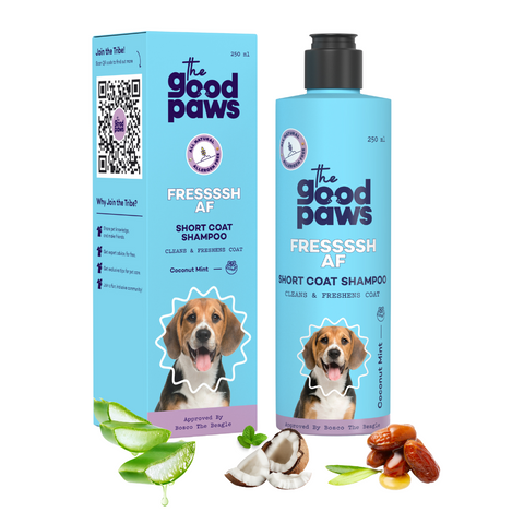 The Good Paws FRESSSSH AF SHORT COAT Dog Shampoo | Smoothes Skin & Coat | Dog shampoo For Beagle, Labrador, Great Dane | All Natural Jojoba & Castor Oil | Pet Shampoo for Dogs & Cats | Coconut Mint (Allergen Free) 250 ml