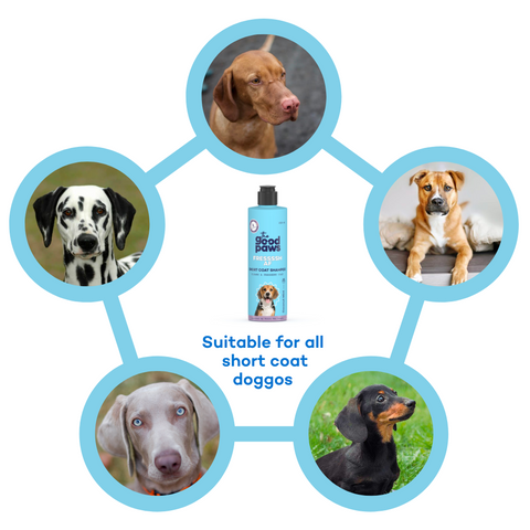 The Good Paws FRESSSSH AF SHORT COAT Dog Shampoo | Smoothes Skin & Coat | Dog shampoo For Beagle, Labrador, Great Dane | All Natural Jojoba & Castor Oil | Pet Shampoo for Dogs & Cats | Coconut Mint (Allergen Free) 250 ml