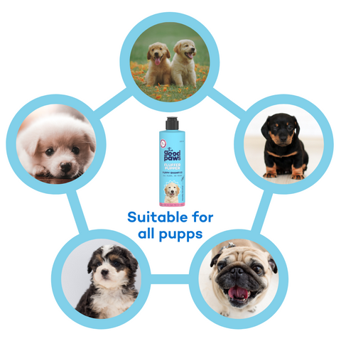 The Good Paws Fluffer Pupper Puppy Shampoo | No tears shampoo | All Natural Coconut oil shampoo | Gentle on your pup's skin & coat | Dog Shampoo For Puppy, Pug, Labrador | pH balanced | Vanilla Orchid (Allergen Free) 250 ml