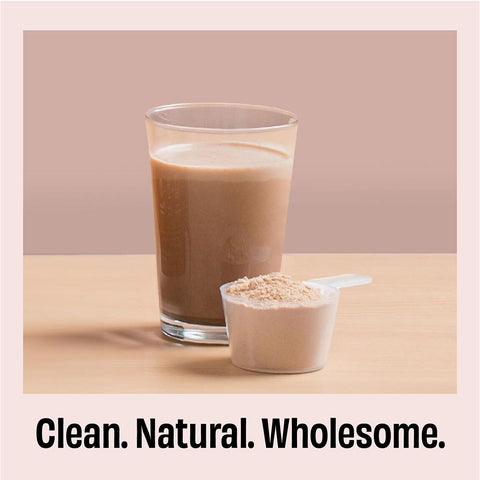 The Whole Truth Protein for Everyone | Beginners Protein Powder | Cold Coffee 1 kg | 15g Protein/Scoop | Clean, Light & Easy to Digest | No Artifical Flavours & No Artificial Sweetener