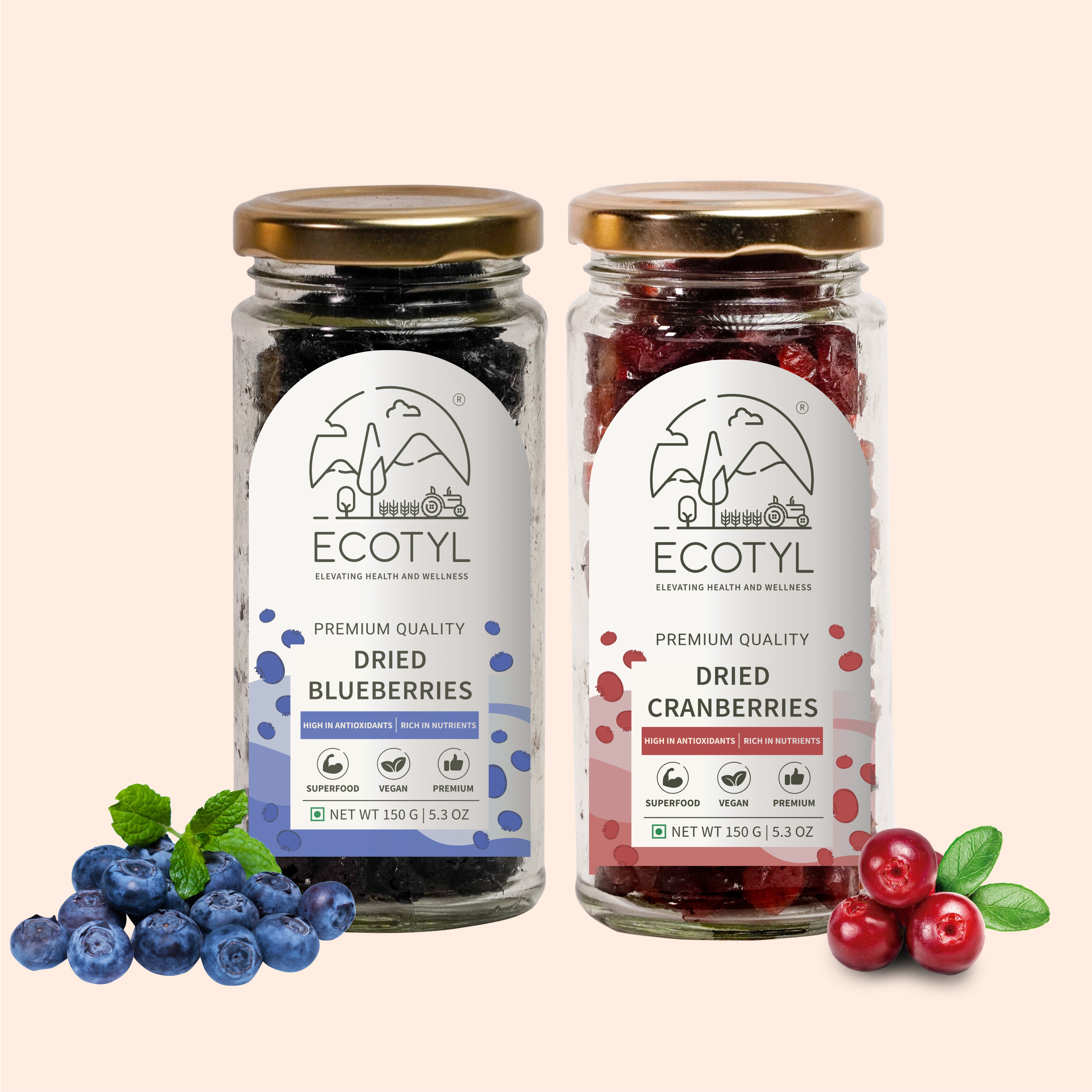 Ecotyl Dried Blueberres & Dried Cranberries Combo | Healthy Snacks | Dried Fruits | 150g Each