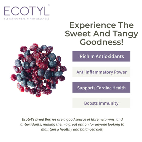 Ecotyl Dried Blueberres & Dried Cranberries Combo | Healthy Snacks | Dried Fruits | 150g Each