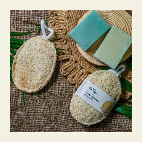 Soil Origin Natural Body Loofah | Set of 2