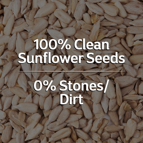 True Elements Raw Sunflower Seeds