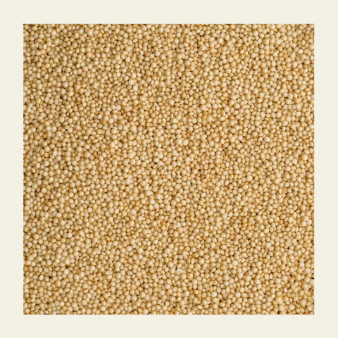 Soil Origin Rajgira Whole  (Amaranth) | 500 gm