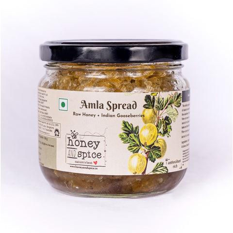 Honey and Spice Amla Spread | 350gm