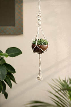 Thenga coconut shell macrame plant hanger for Indoor & balcony