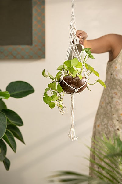 Thenga coconut shell macrame plant hanger for Indoor & balcony