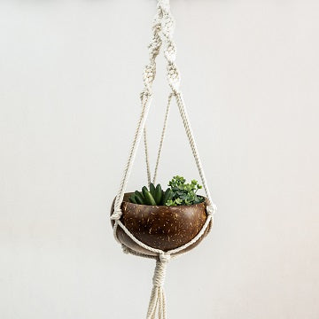 Thenga coconut shell macrame plant hanger for Indoor & balcony