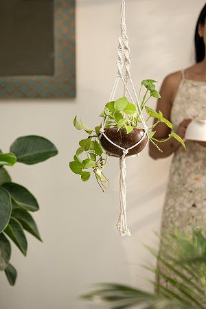 Thenga coconut shell macrame plant hanger for Indoor & balcony