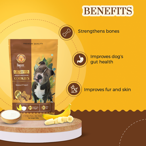 Dogsee Gigabites | Cookies for Dogs | 300gm