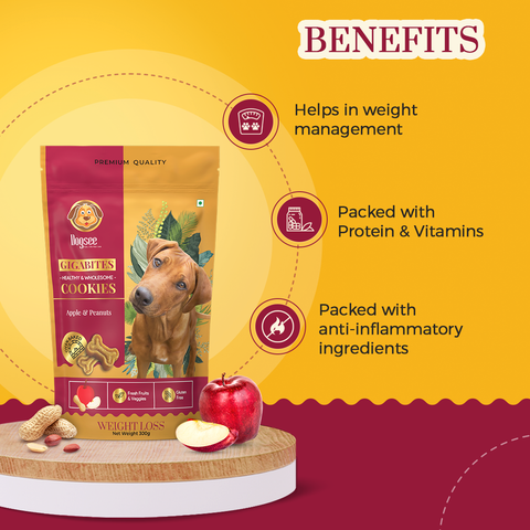 Dogsee Gigabites | Cookies for Dogs | 300gm