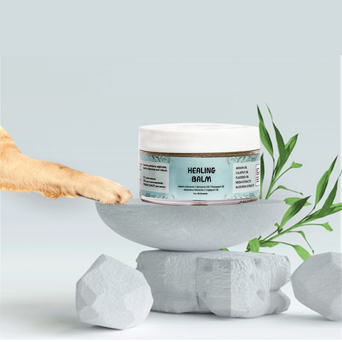 Papa Pawsome Healing Balm for Dog I 30 gm I 100% Natural