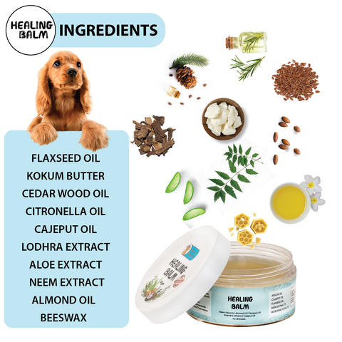 Papa Pawsome Healing Balm for Dog I 30 gm I 100% Natural