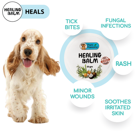 Papa Pawsome Healing Balm for Dog I 30 gm I 100% Natural