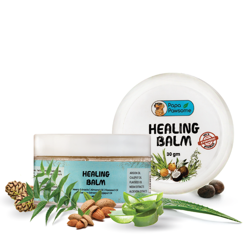 Papa Pawsome Healing Balm for Dog I 30 gm I 100% Natural