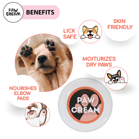 Papa Pawsome Soft Paws Paw Cream for Dog I 30 gm I 100% Natural