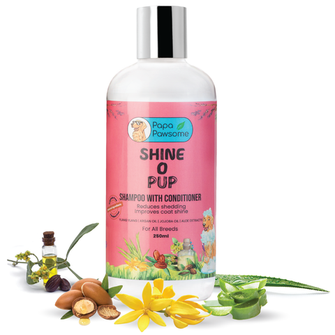 Papa Pawsome Shine O' Pup Tear-Free Shampoo with Conditioner for Dog I 250 ml