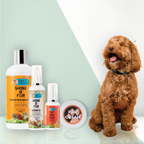 Papa Pawsome SHINE O FUR Spa Kit