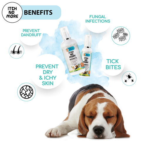 Papa Pawsome Itch No More Massage Oil for Dog