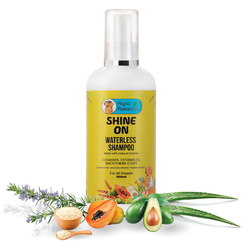 Papa Pawsome Shine on Waterless Shampoo I 200ml