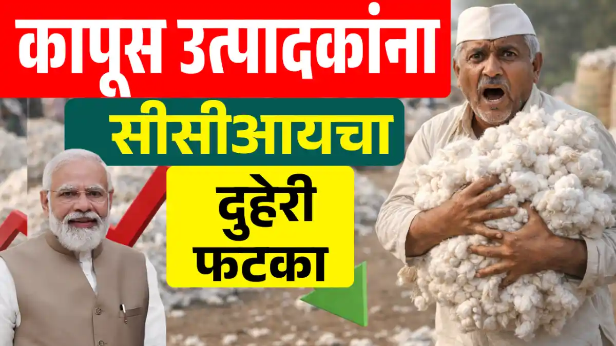 Cotton Market Update 2026