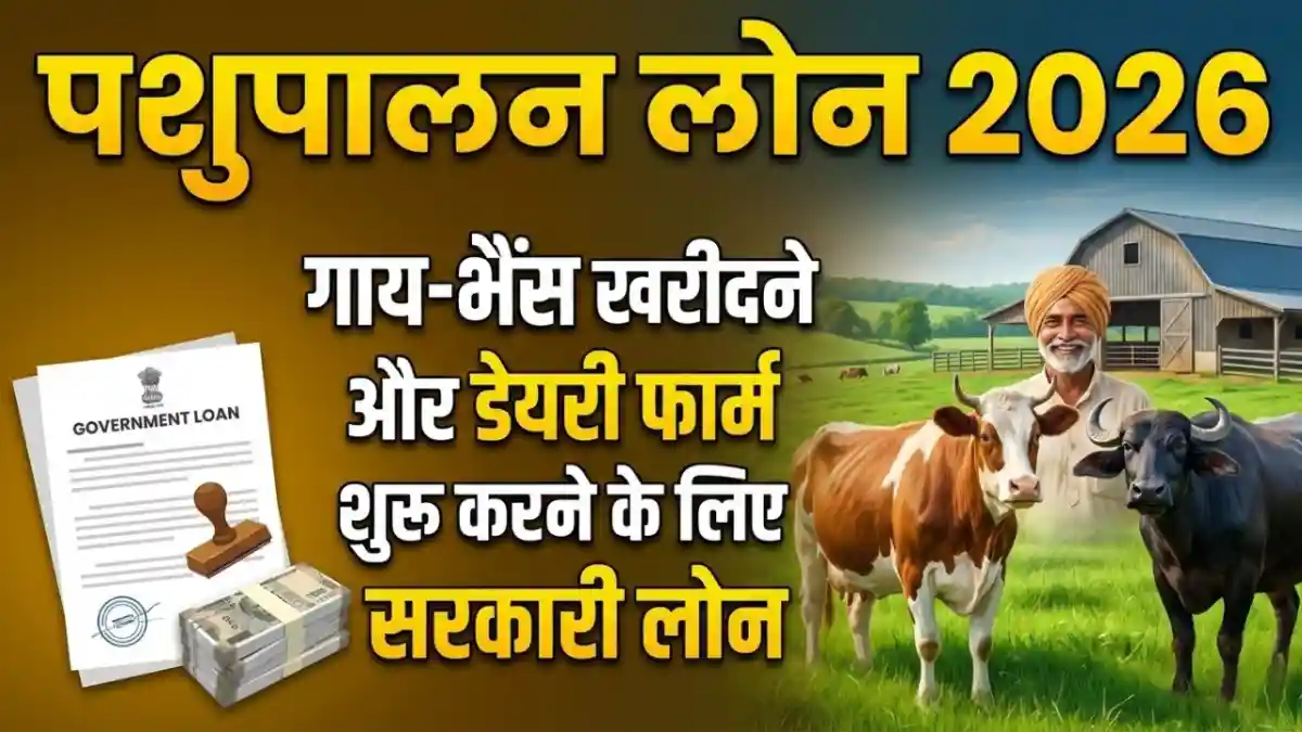 pashupalan loan scheme